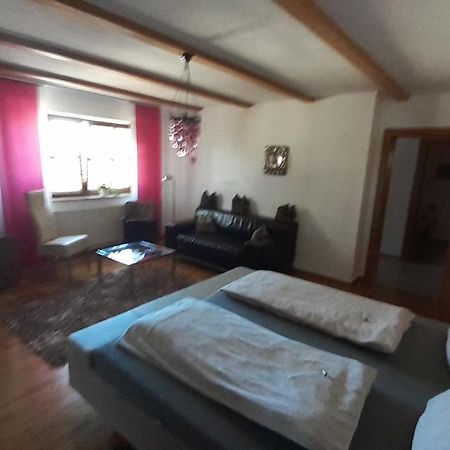 Top Apartment Henndorf am Wallersee Extérieur photo