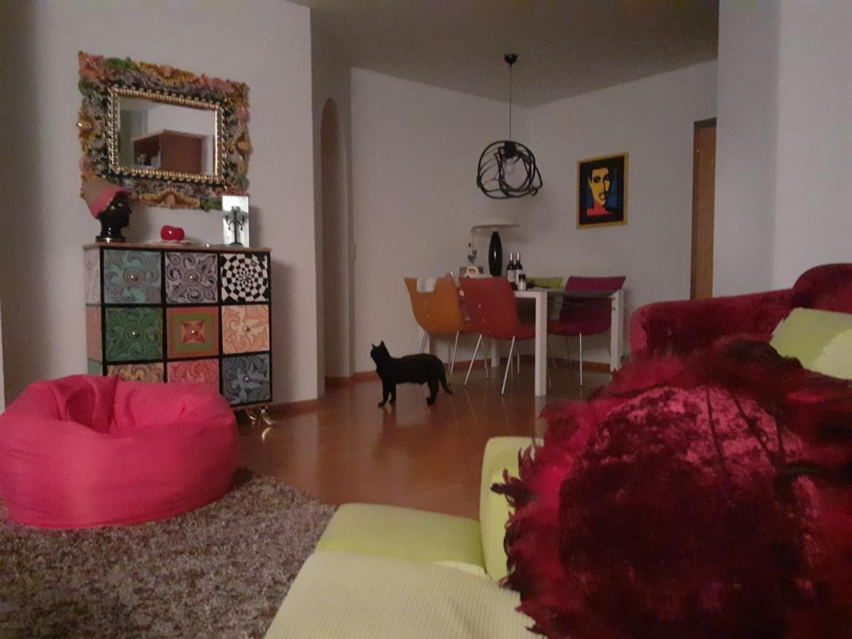 Top Apartment Henndorf am Wallersee Extérieur photo